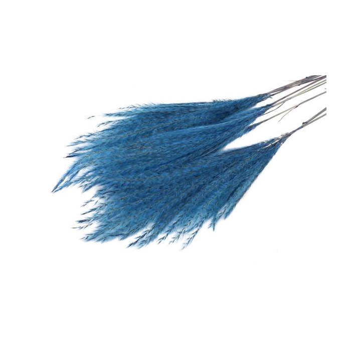 <h4>Bunch Fluffy Silver Grass 10pcs L75</h4>