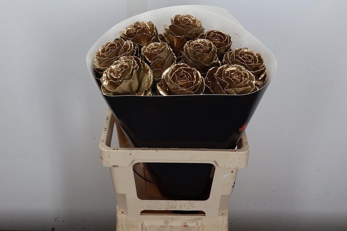 <h4>Brassica Wx (ex) Goud</h4>