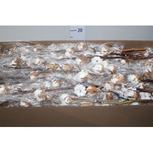 Gossypium(katoen) 9 Balls