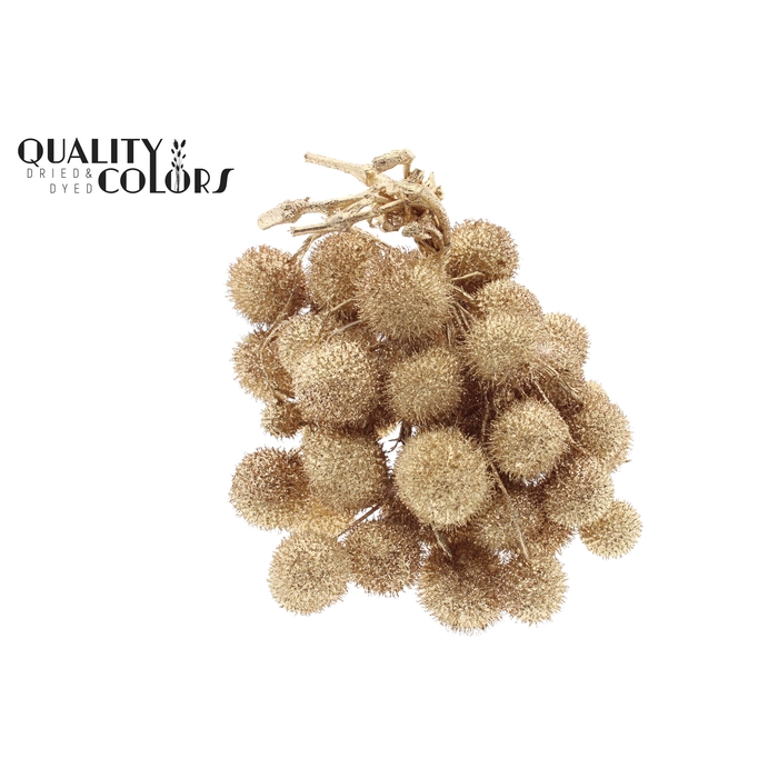 <h4>Small ball per bunch in poly Antique Gold + Glitter</h4>