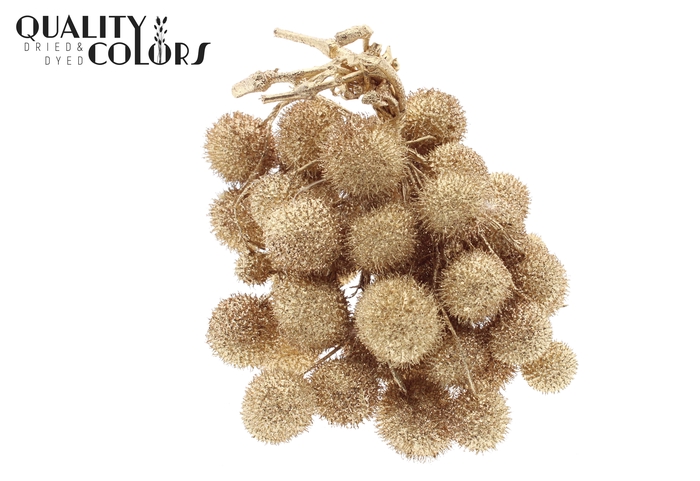 Small ball per bunch in poly Antique Gold + Glitter