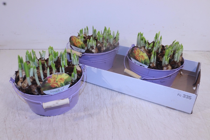 <h4>ARR N TETE A TETE</h4>