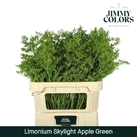 <h4>Limonium Skylight L80 Apple Green</h4>