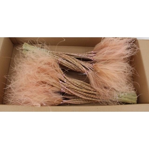 DF Stypha 60cm Bs Light Pink