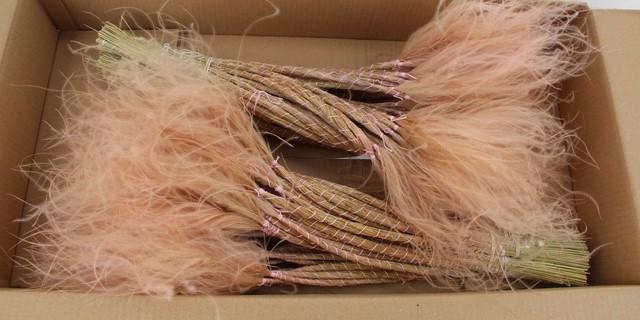 <h4>DF Stypha 60cm Bs Light Pink</h4>
