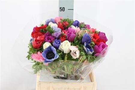 <h4>Anemone Mistral Super Mix</h4>