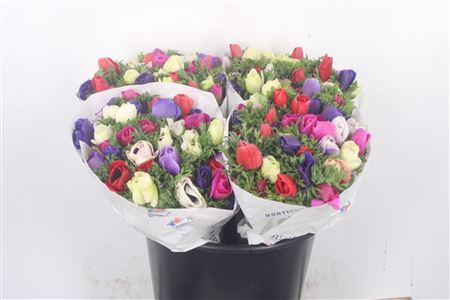 <h4>Anemone Fr. Mixed In Bunch</h4>