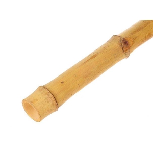 Branch Bamboo L210D6