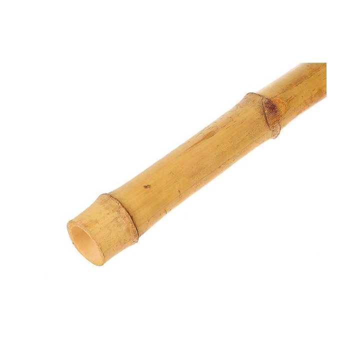 <h4>Branch Bamboo L210D6</h4>