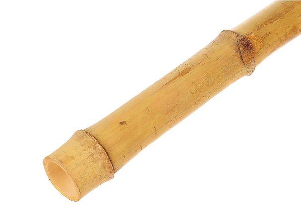 Branch Bamboo L210D6