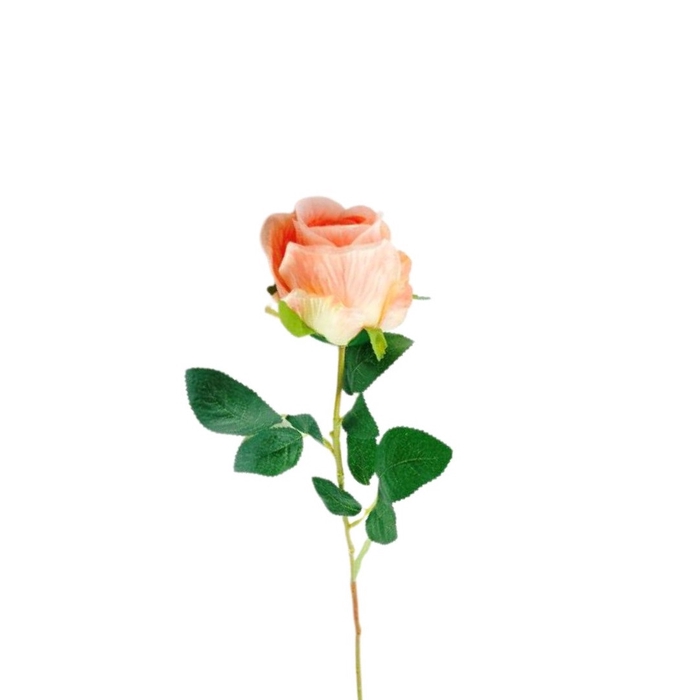 <h4>Rosa 58cm</h4>