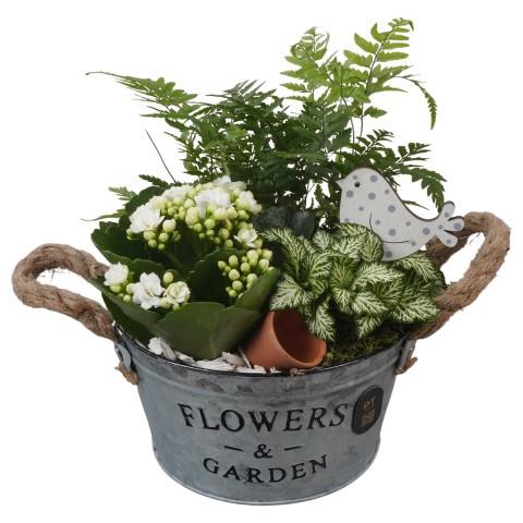 <h4>PTIB5327 Arrangement Indoor in metalen pot</h4>