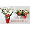 arr8 Phal Mini Love White In Keramiek