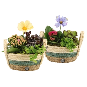 11601: Consideration arrangement