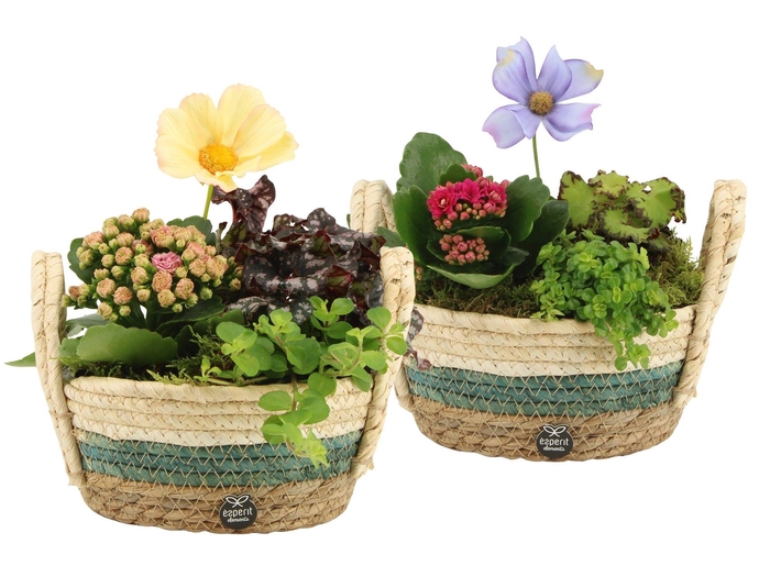 <h4>11601: Consideration arrangement</h4>