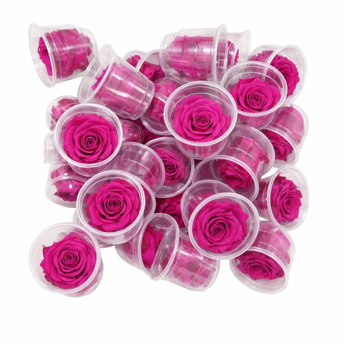 <h4>Ro Pres Medium Fuchsia</h4>