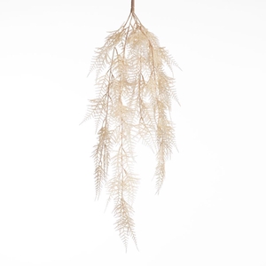 AF Aspa Hng Bush L79cm Cream