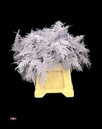 <h4>Asp 1e Light Milka</h4>