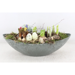 arr4 Bollenmix VL - Grijs kano L 250/2