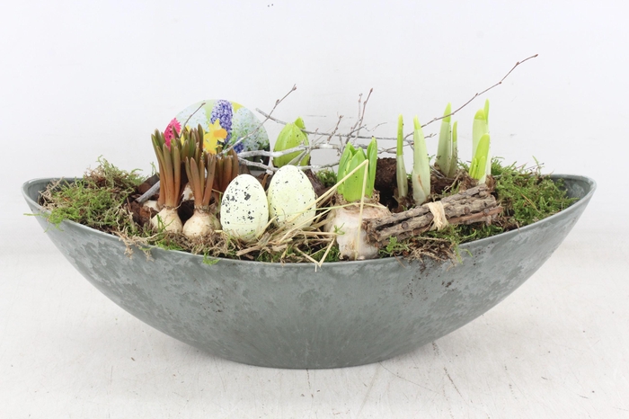 <h4>arr4 Bollenmix VL - Grijs kano L 250/2</h4>