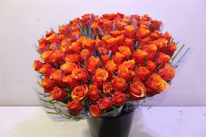 <h4>R Gr Espana X10</h4>