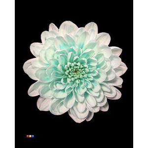 Chr T Altaj Pastel Mint