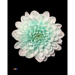 Chr T Altaj Pastel Mint