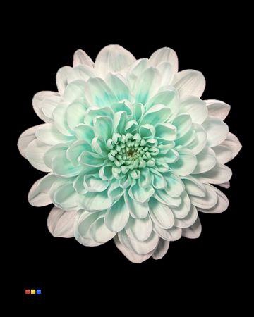 <h4>Chr T Altaj Pastel Mint</h4>