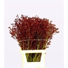 ERYN PAN MAG R THUND 100CM