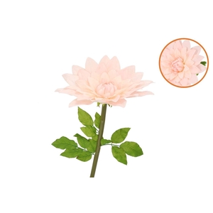 Silk Amazing Dahlia Beauty Peach Xxl 50x120cm