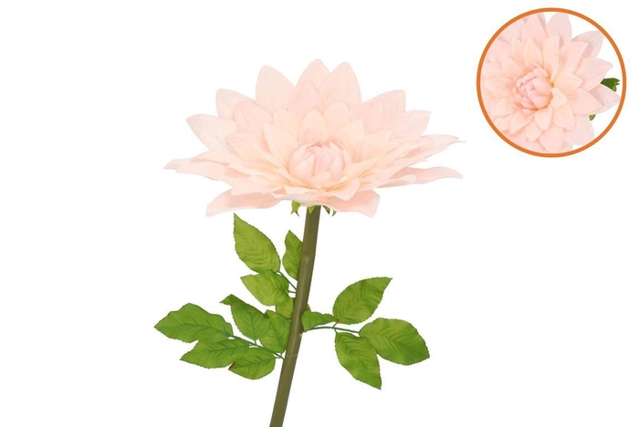 <h4>Silk Amazing Dahlia Beauty Peach Xxl 50x120cm</h4>