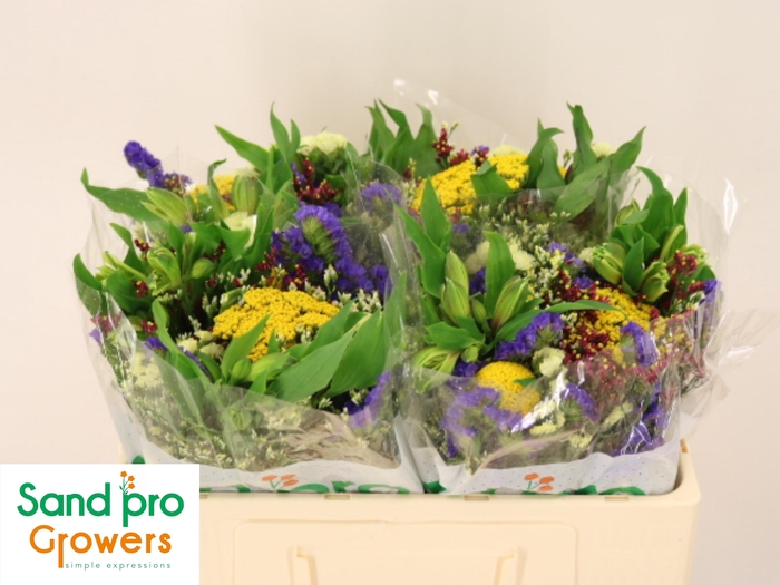 <h4>GEM ZOMERBOEKET</h4>