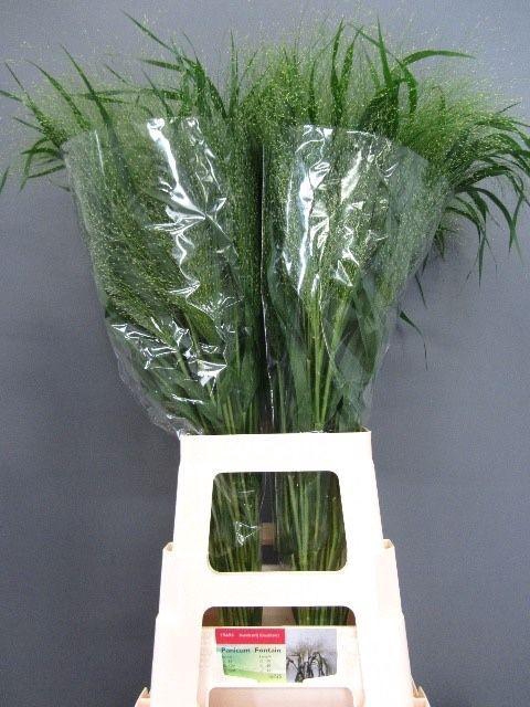 <h4>Panic Vi Fontaine 75 Cm</h4>