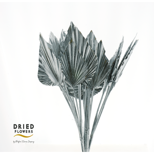 Dried Palm Spear Small Silver