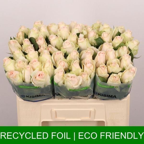 <h4>R GR HIGH & BRIDAL</h4>