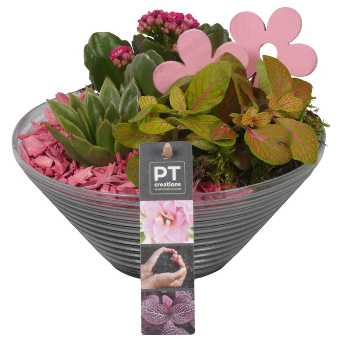 <h4>Arr.   Planten L%</h4>