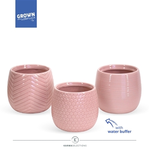 Karma - SOLO POTS - Lovely 9 cm |Sierpot + Waterreservoir