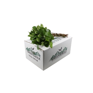 Salal Tips