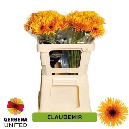 GE GS CLAUDEMIR