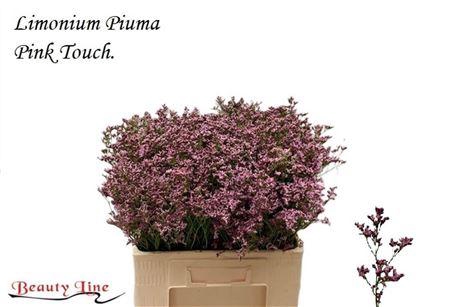 <h4>LIM PIUMA PINK TOUCH 60/30GR</h4>
