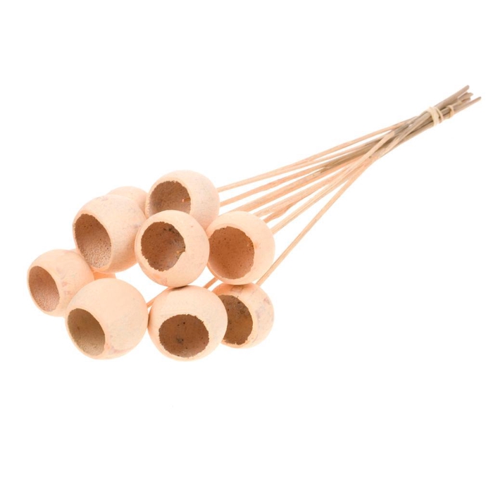 <h4>Bell Cup O/s 10pc Coral Misty</h4>