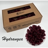 Zijde Hydr Wx Bordeaux