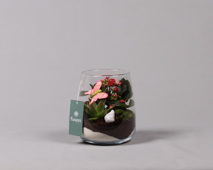 <h4>Glas alzada met arrangement en vlinders</h4>