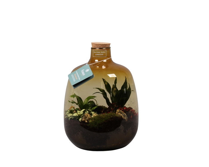 <h4>Oker Terrarium met Arrangement</h4>