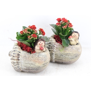 arr2 JS - Ker. eikel liggend 338/6