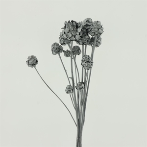 Dried Artischoke Silver P Stem