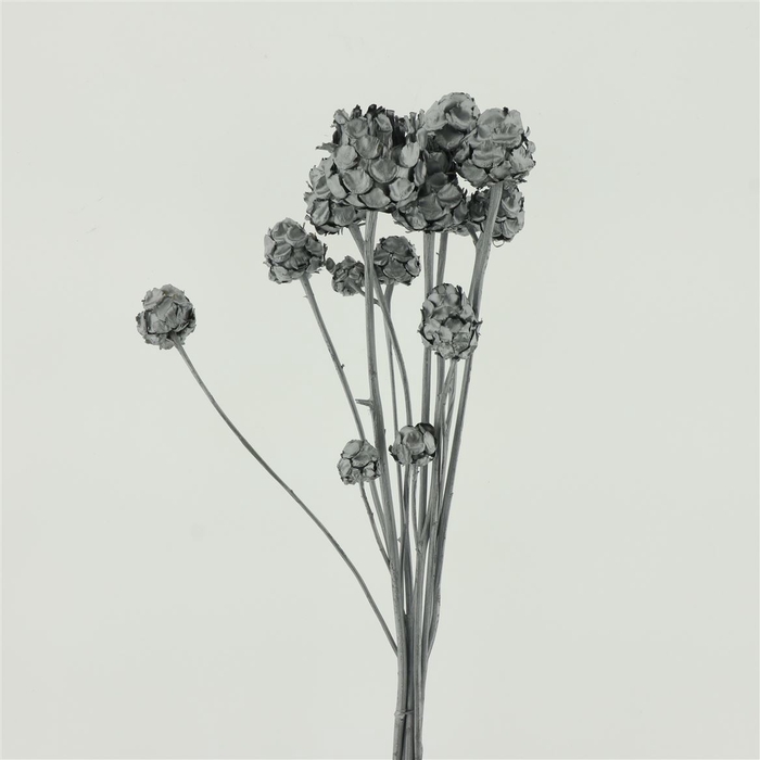 <h4>Dried Artischoke Silver P Stem</h4>