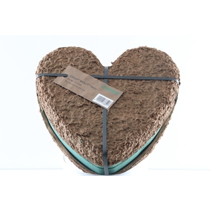 Oasis Heart 33x34cm Biolite Bio