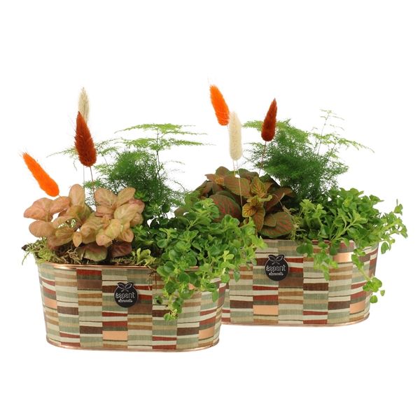 <h4>41577: Treasure time arrangement</h4>