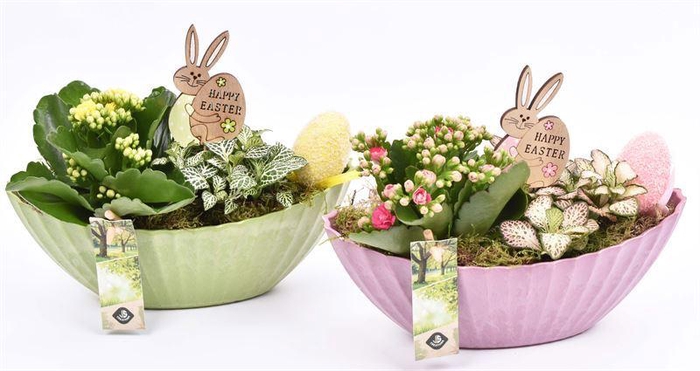 <h4>Kunstof kano groen/roze 24x10cm</h4>